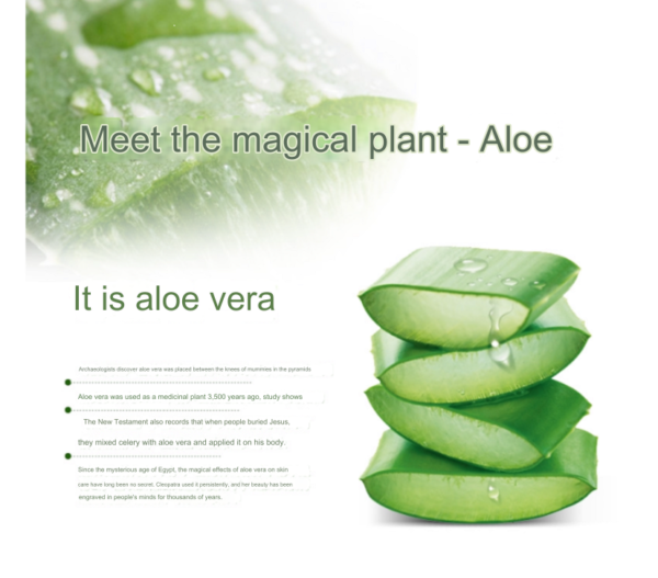 iLiFE Aloe Vera Gel - Image 6